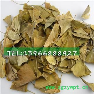 娟子中药 银杏叶 统货 产地 浙江省湖州市长兴县图2