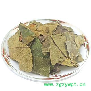 枇杷叶   中药材 干货 琵琶叶 批把叶子图4