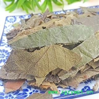 枇杷叶   中药材 干货 琵琶叶 批把叶子图3