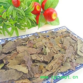 枇杷叶   中药材 干货 琵琶叶 批把叶子图2