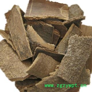 新辉药业中药材鸭脚木 优质正品图3