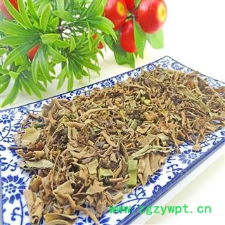 石韦 石苇 中药材 刀口药金星药图2