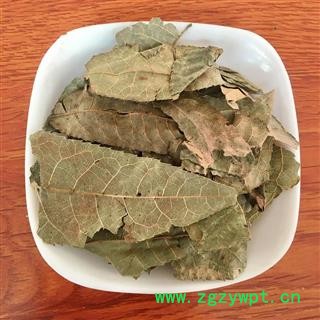 九盛堂中药材 青钱柳叶青钱柳叶子摇钱树叶子青钱李叶 中药青钱柳图4