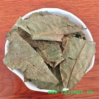 九盛堂中药材 青钱柳叶青钱柳叶子摇钱树叶子青钱李叶 中药青钱柳图3