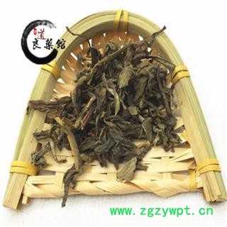 大青叶统货 板蓝根叶 产地甘肃  药典标准 地道良药馆1000克直销图2