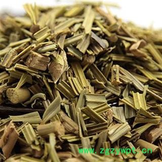 圣草康园苏铁叶 铁树叶 新货颜色好产地 安徽省黄山图2