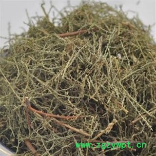 吉康药业西河柳  怪柳 观音柳 山川柳 三春柳 西湖柳 赤柳 观音柳 红筋条图2