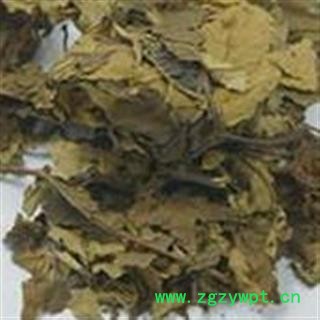 吉康药业喜树叶今年新货喜树叶图3