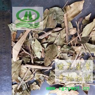 世元药业 千里香 正品别称 透骨香 满山香 万里香 九里香 七里香 九秋香 九树香 过山香 黄金桂 青木香 月橘图2