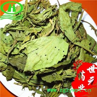 世元药业 甜叶菊 茶饮一级图2
