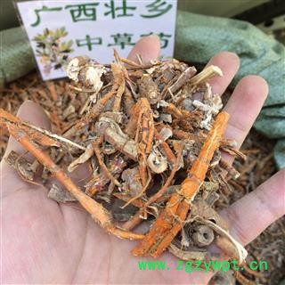 广西壮乡中草药 无硫 桑白皮 桑根白皮 桑根皮 桑皮 产地 广西柳州图3