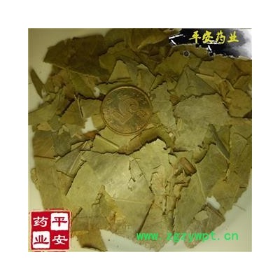 石楠叶 正品 石眼树叶 老少年叶 凿树 石纲