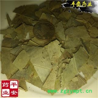 石楠叶 正品 石眼树叶 老少年叶 凿树 石纲图2