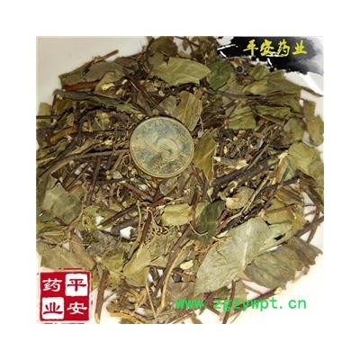 天华药行 络石藤(非石楠藤)别称 石鲮 明石 悬石 云珠 云丹 红对叶肾 白花藤