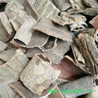 生杜仲 统 产地 四川省广元市旺苍县图3