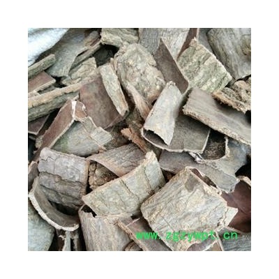 生杜仲 统 产地 四川省广元市旺苍县