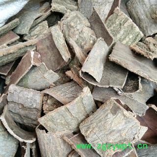 生杜仲 统 产地 四川省广元市旺苍县图2