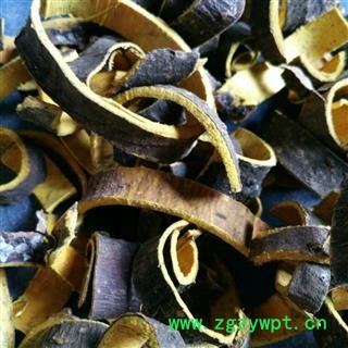 川黄柏统产地四川省广元市旺苍县图2