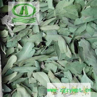 世元药业 大叶罗布麻叶 大叶茶饮y 泽漆麻 红根草 野麻图2