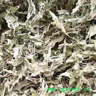 艾叶 统货 产地 河南省 正品 包含量 本店经营品3000余种中药材冷背中药材【安徽省冰源堂药业】图2