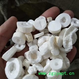 通草 大通草统片 产地 四川省图4