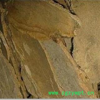 椿皮  椿树皮 统货 产地 安徽省图2