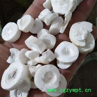 通草 大通草统片 产地 四川省图3