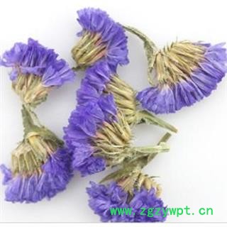 勿忘我 1000克图3