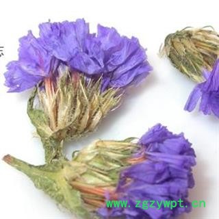 勿忘我 1000克图2