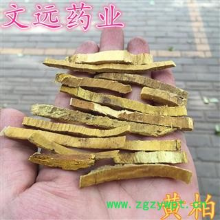 黄柏 选装刮皮 关黄柏 产地 辽宁省锦州市市辖区图3