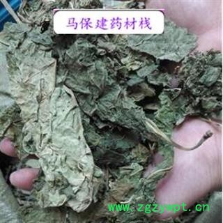 桑叶 青桑叶统货 产地 山东省图2