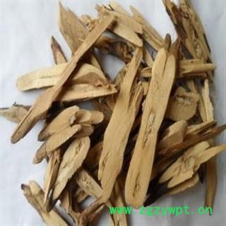 紫苏根 野紫苏 统 产地 河北省 批发经营各种冷背中草药个子图2