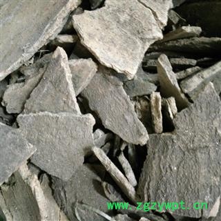 椿根皮 统 产地 河北省邯郸市峰峰矿区图2