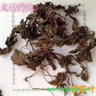 苏叶 紫苏叶 精选全叶子 产地 河南省南阳市宛城区图2