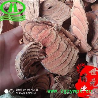 世元药业 鸡血藤 正品血足（假货为正心滇血藤）血风 血藤 血风藤图2