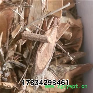 漆大姑 毛漆 毛七哥 毛七公 大毛七图3