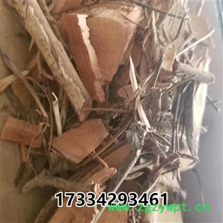 漆大姑 毛漆 毛七哥 毛七公 大毛七图4