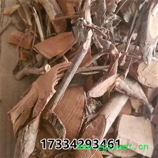 漆大姑 毛漆 毛七哥 毛七公 大毛七图2