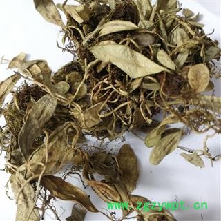 瑞森药材行 中药材 越橘叶图3