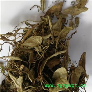 瑞森药材行 中药材 越橘叶图2