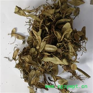 瑞森药材行 中药材 越橘叶图4