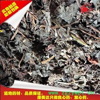 紫苏  苏叶 叶 统 产地 河南省安阳市北关区图2