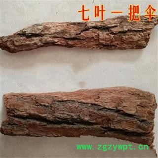 中药材 正品 七叶一把伞 倒卵叶六驳图2