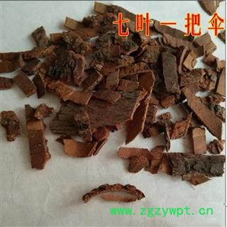 中药材 正品 七叶一把伞 倒卵叶六驳图3