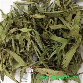 甜叶菊 各种规格 产地 安徽省 凯捷中药图2