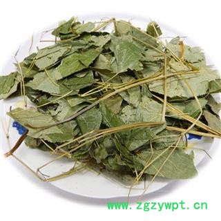 淫羊藿 淫羊藿段 产地 吉林省图3