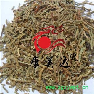 侧柏叶 统货 产地 安徽省 凯捷中药图2