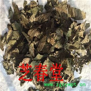 直供中药材青钱柳叶 青钱柳 纯叶 统 产地 江西省 支持验货图2