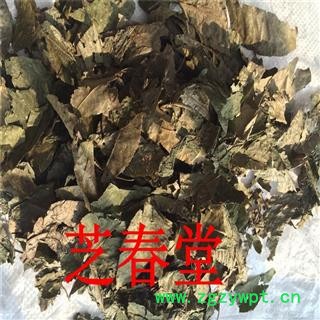 直供中药材青钱柳叶 青钱柳 纯叶 统 产地 江西省 支持验货图3
