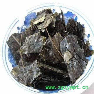 毛冬青叶 选 云南野生毛冬青茶叶 有毛冬青茶 产地 云南省图2